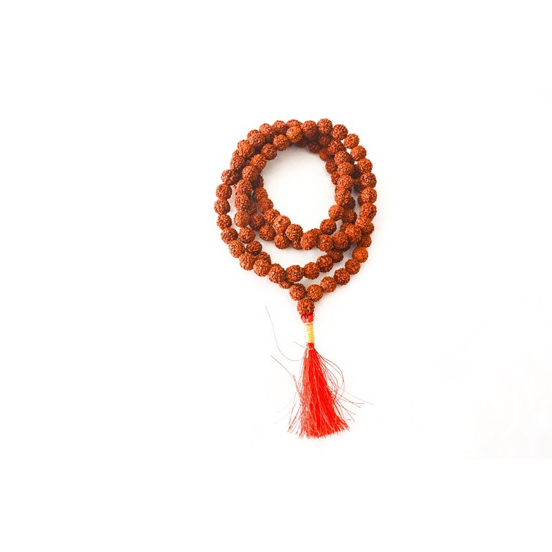 Mâla Rudraksha.